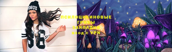 МДПВ Алексин