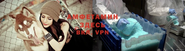 хмурый Алзамай