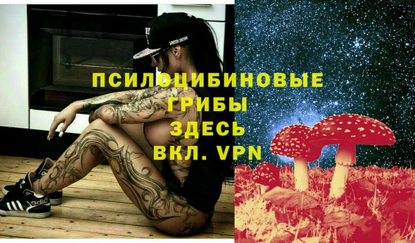 крисы Алексеевка
