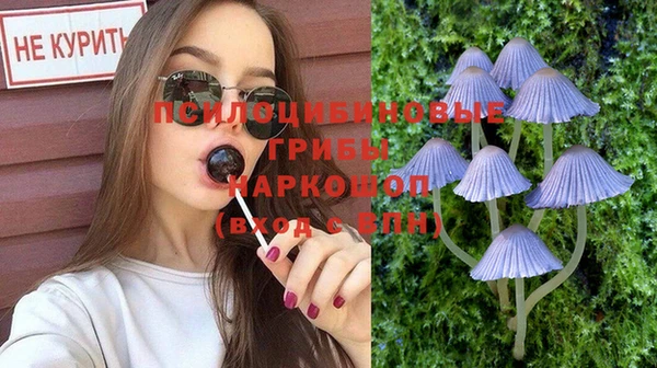 хмурый Алзамай