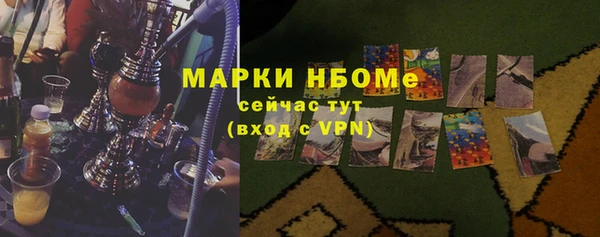 хмурый Алзамай